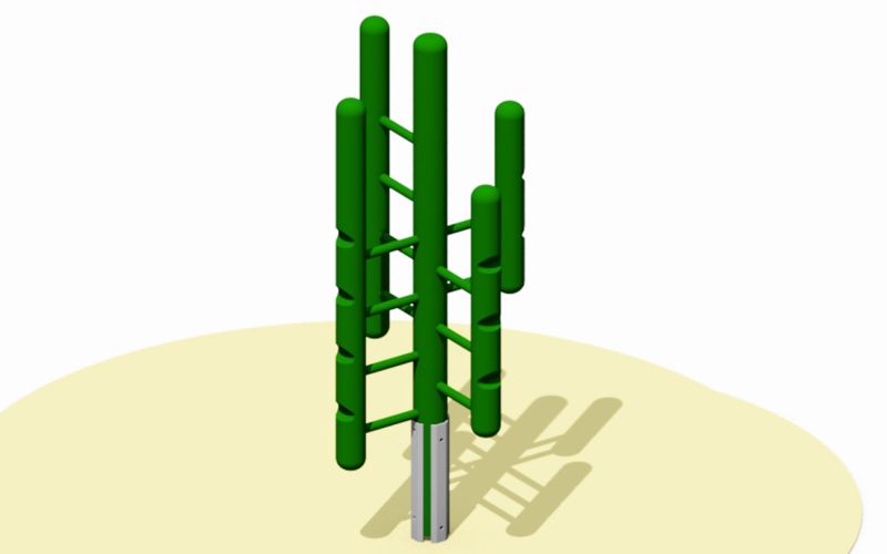 Kletter-Kaktus